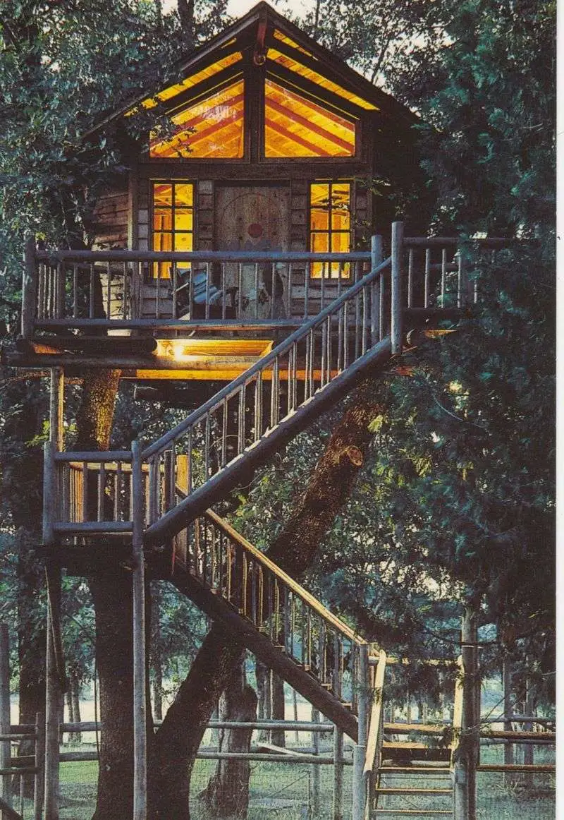 Peacock Perch: The Historic First Treehouse