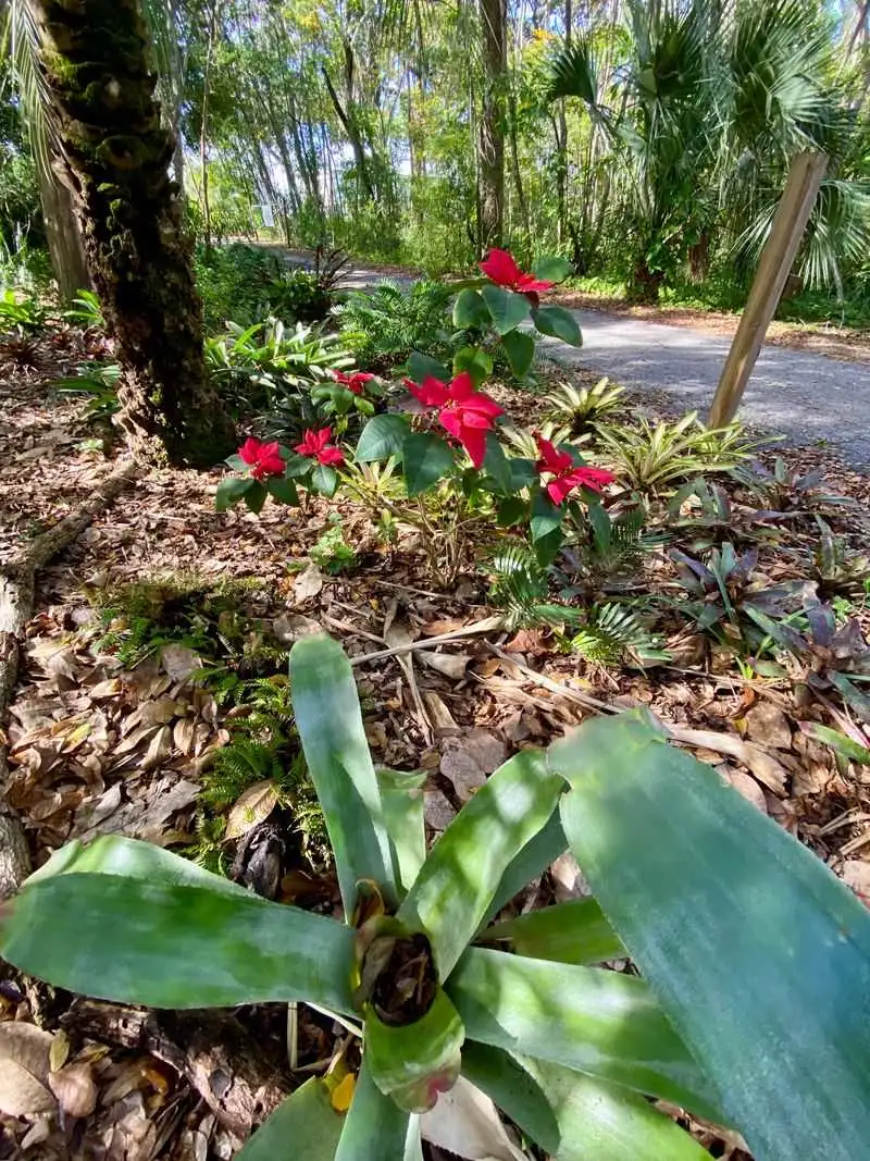 A Hub for Botanical Innovation