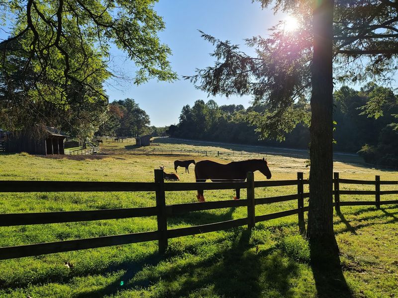 The Stables and Equestrian Trails