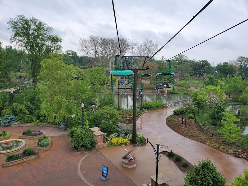 The Skyfari, Train, and Ride Experiences