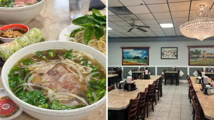 The Pho at This Georgia Restaurant Tastes Like It Came Straight From Hanoi