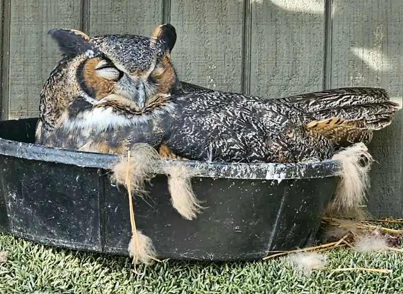 Interactive Children's Area