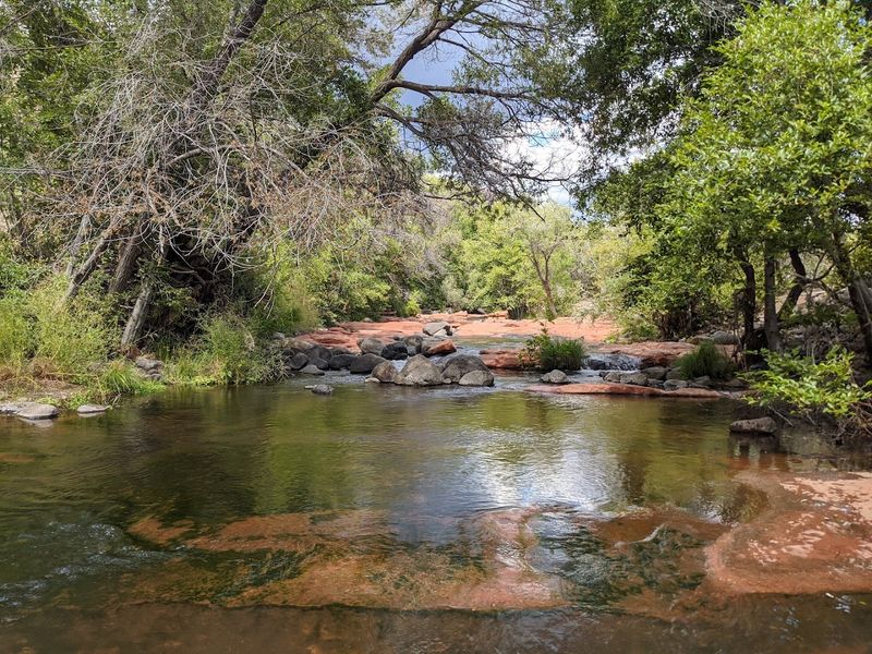 Best Times to Hike and Swim at Bell Trail