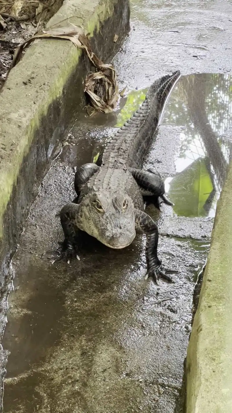 Guided Tours: A Journey of Discovery