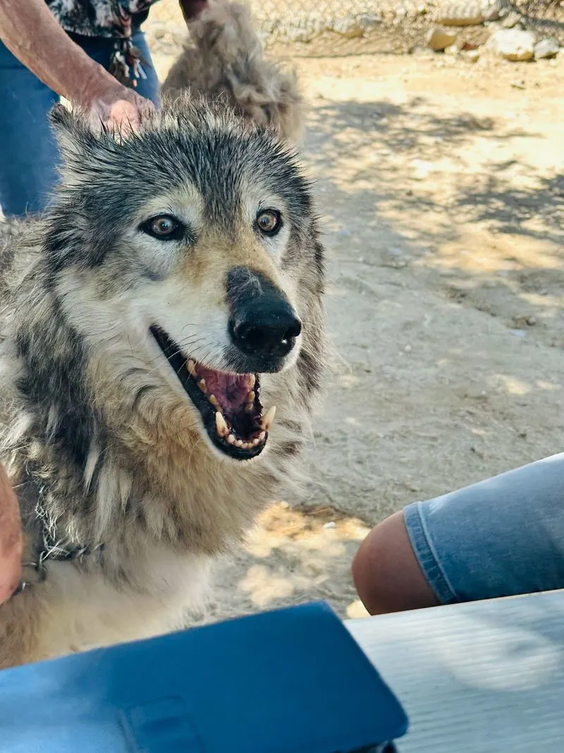 Special Events and Workshops