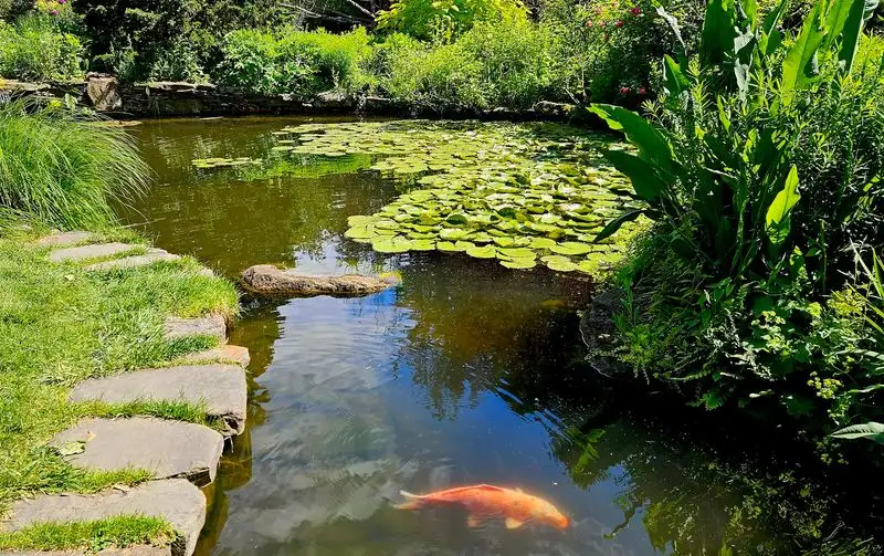 Asian Woods and Stream