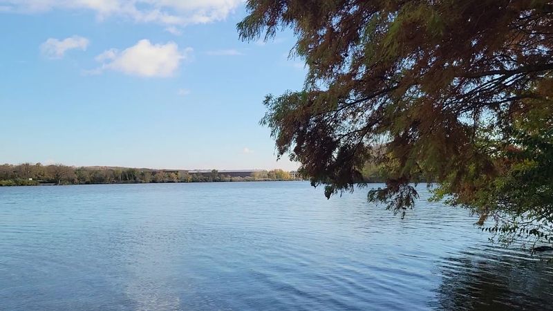 Fishing and Boating Adventures