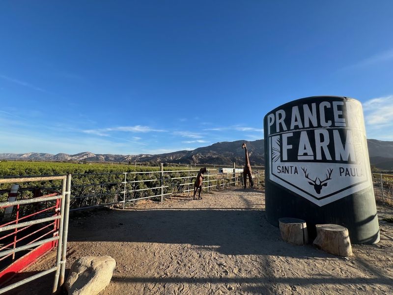 Prancer's Farm Stop