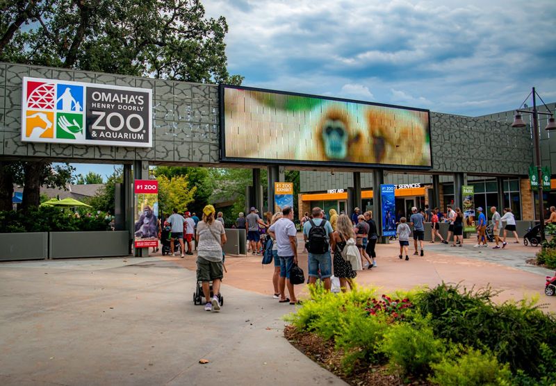 Practical Tips for Visiting Henry Doorly Zoo