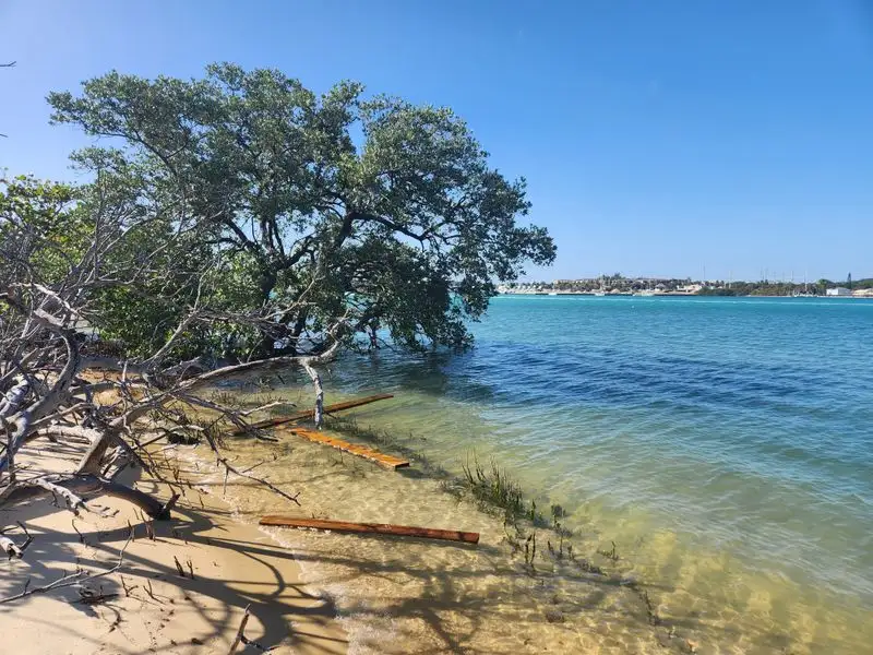 The Sudden Shift From Forest to Ocean Drama