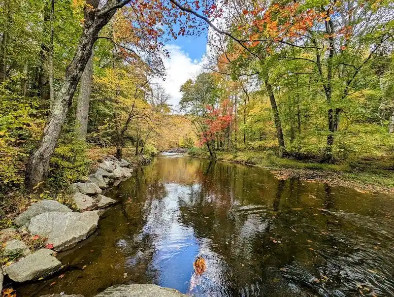 Fall Foliage and Seasonal Beauty