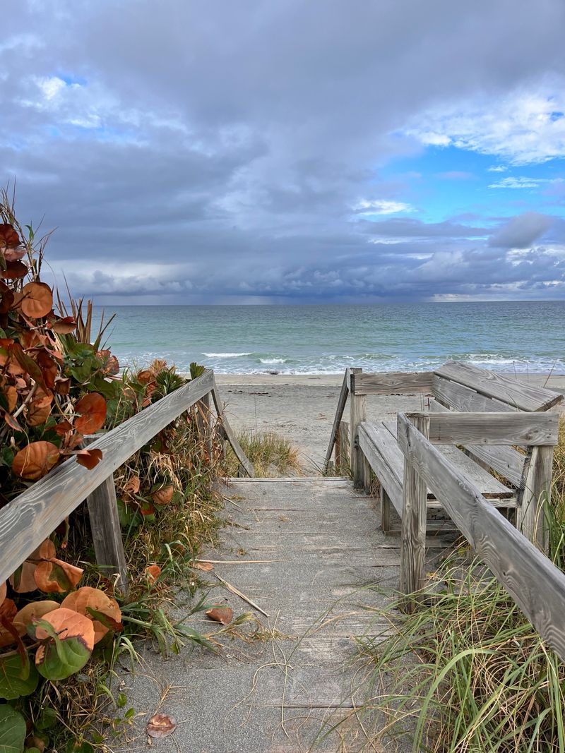 Seasonal Changes That Alter the Experience