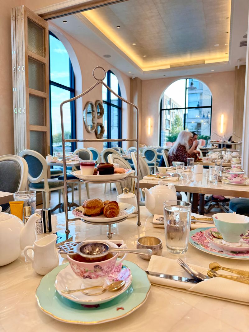 Lady Camellia &mdash; Alexandria