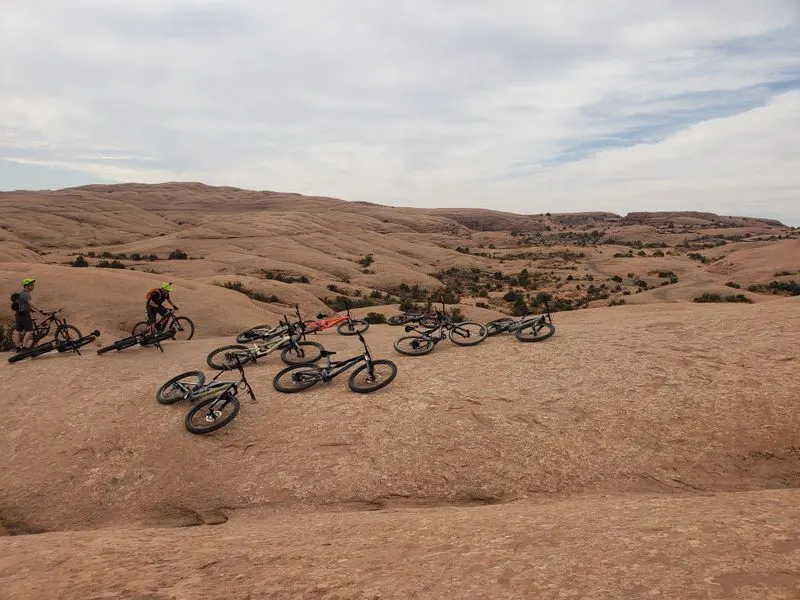 Spectacular Desert Vistas