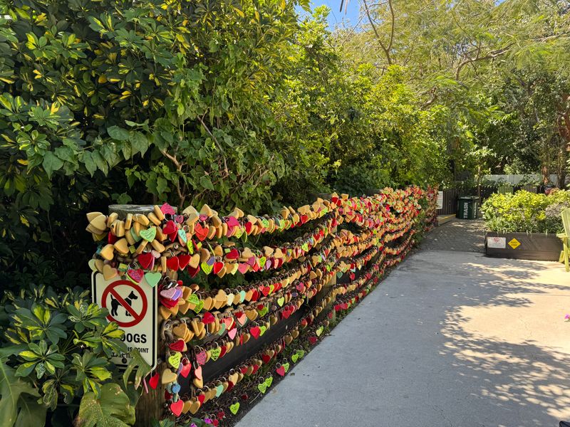 The Idyllic Garden Setting