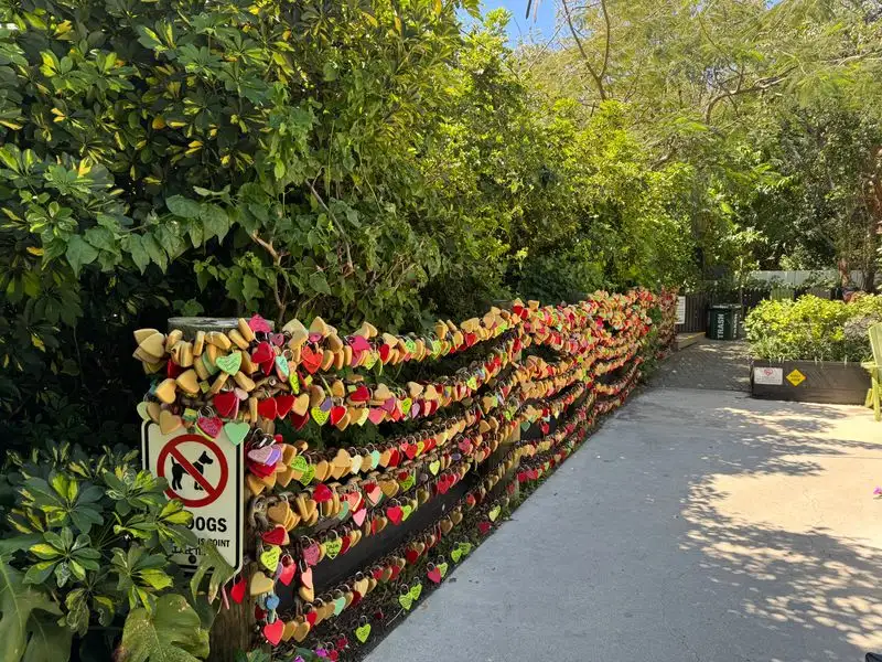 The Idyllic Garden Setting