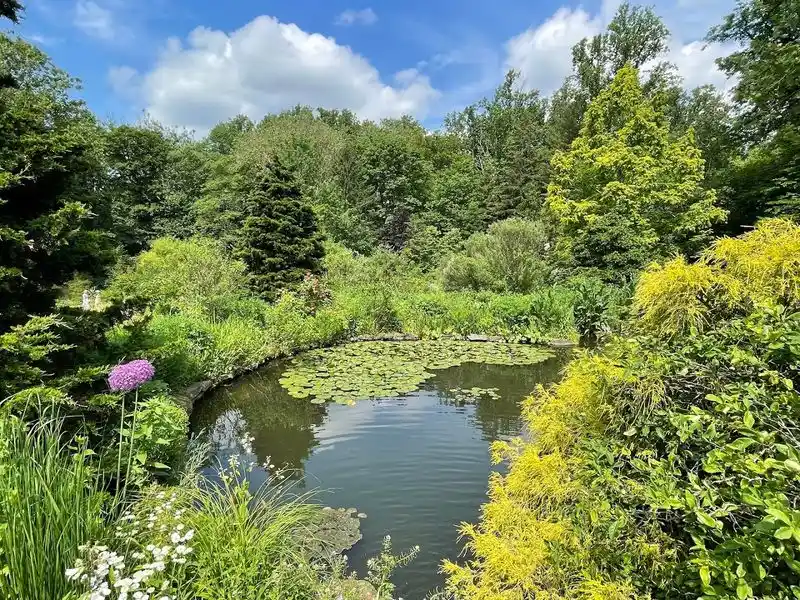 The Pond Garden