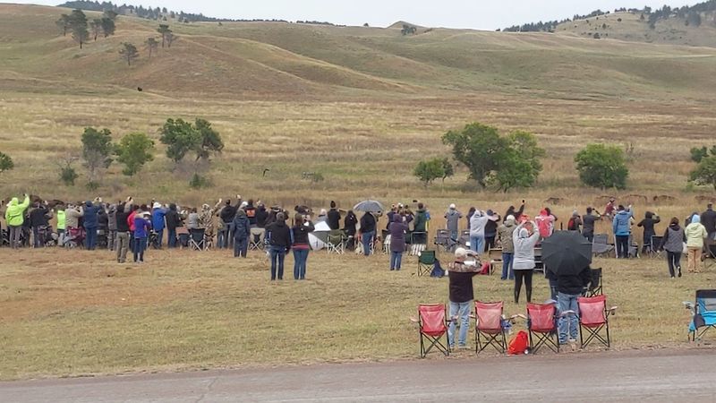 Local Flavors and Festivities