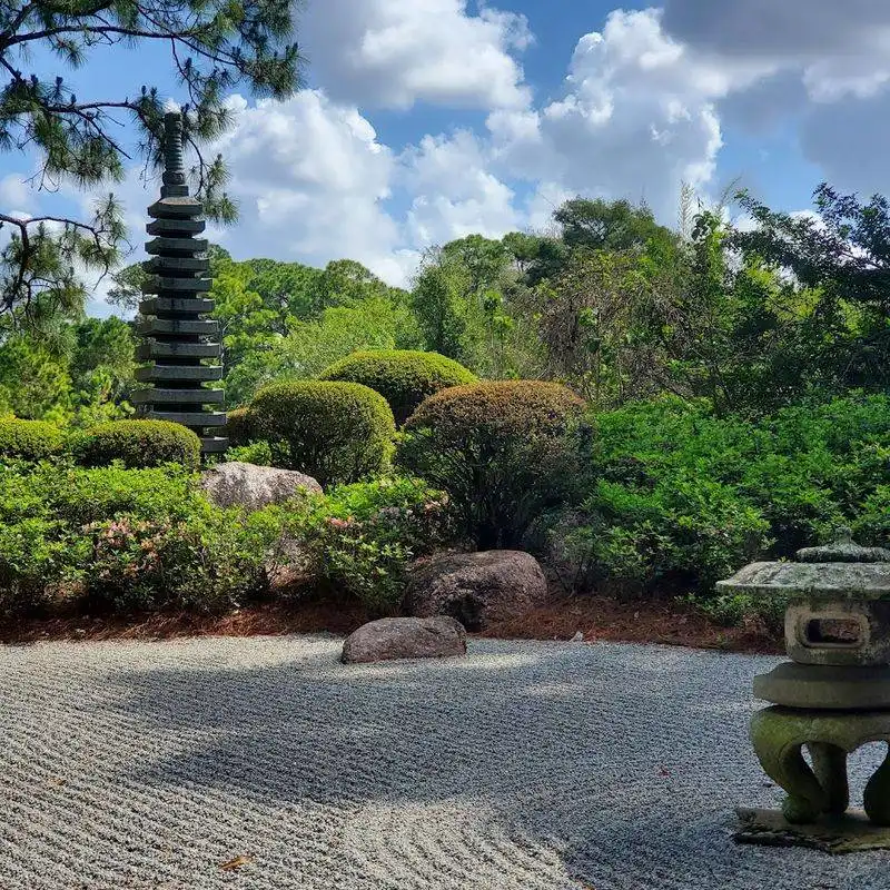 The Stunning Bonsai Collection