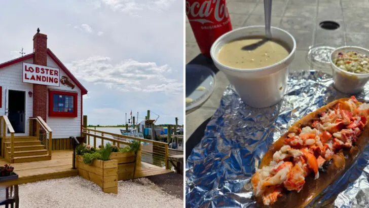 The clam chowder at this Connecticut waterfront shack has earned a devoted following