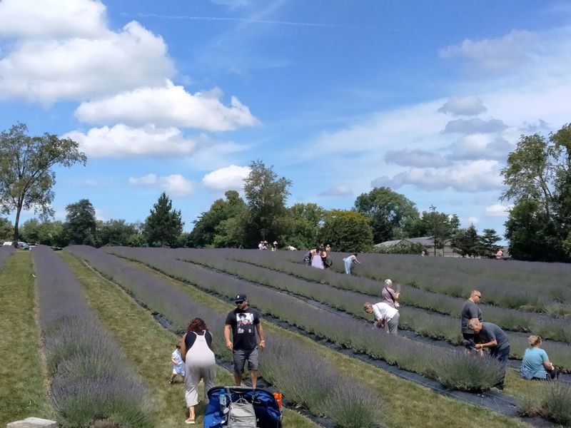 Family-friendly planning: accessibility, shade, and snacks