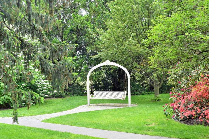 Paths, benches, and easy strolling