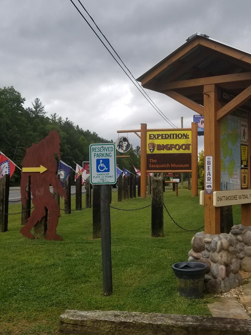 Bigfoot and the North Georgia setting