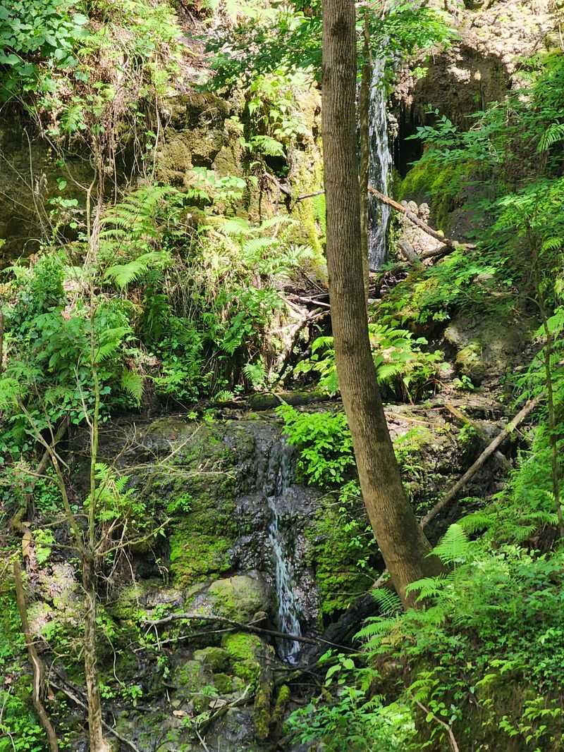 Waterfalls, creeks, and the basin