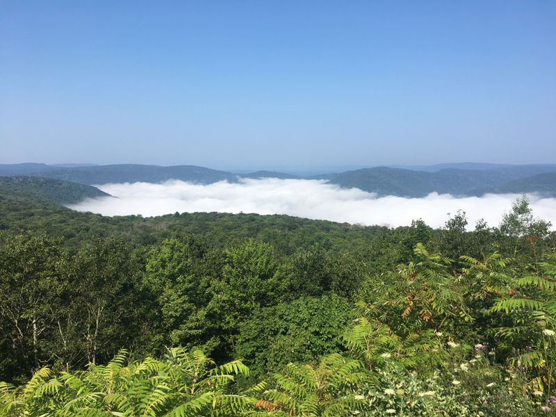 Why Loyalsock State Forest Stays Under the Radar