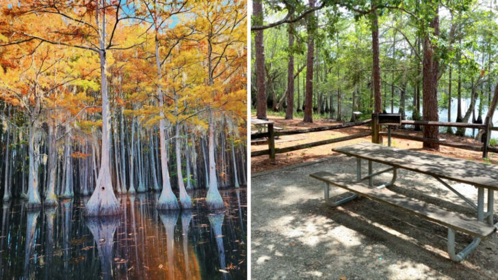 This 1,600‑acre Georgia state park is one of the state’s best‑kept secrets