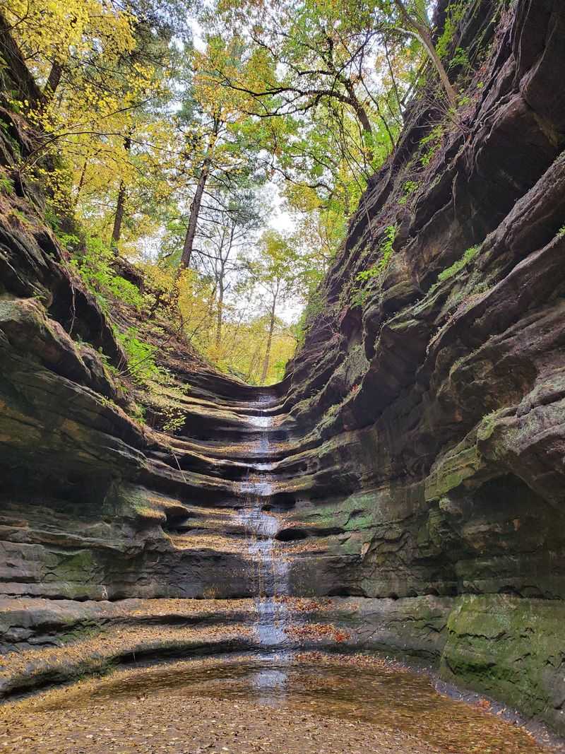 Starved Rock State Park Overview