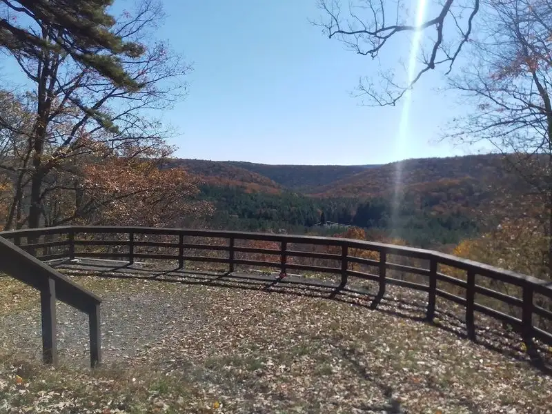 The Sheer Scale of Bald Eagle State Forest