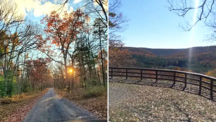 This 190,000-Acre Pennsylvania Mountain Forest Is A Quiet Escape Filled With Long Trails And Secluded Campgrounds