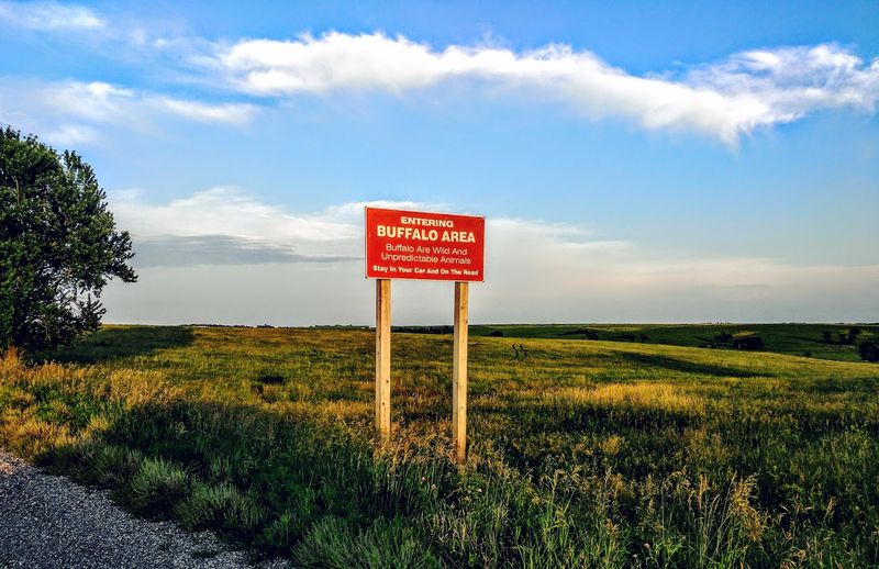 The Enchanting Tallgrass Trail