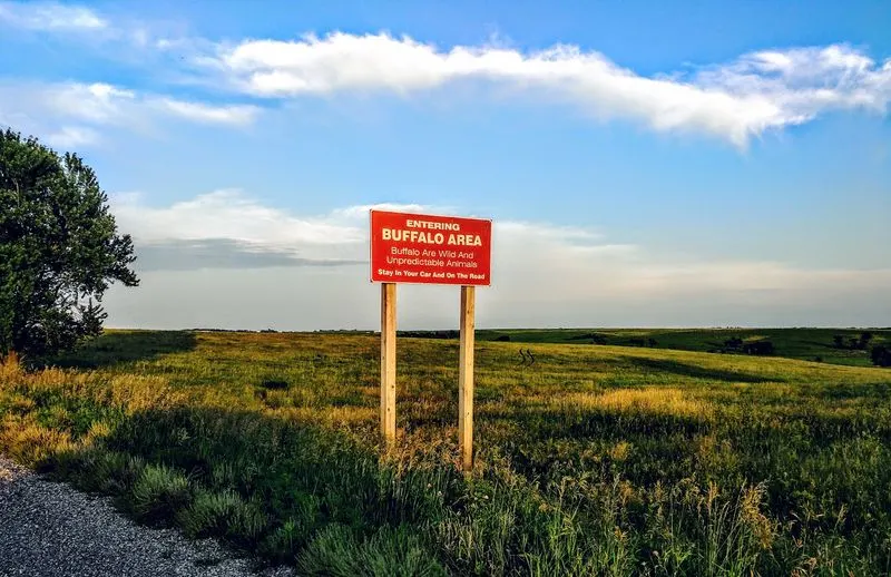 The Enchanting Tallgrass Trail