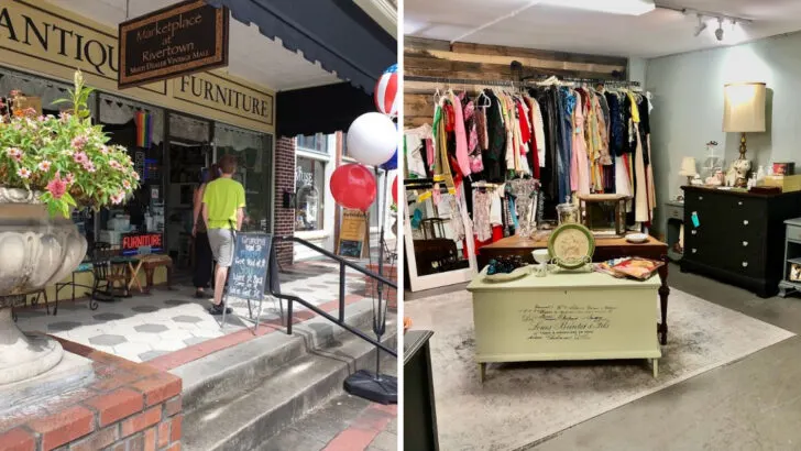This 3-Story Thrift Shop in Florida Is Filled With Vintage Finds and Standout Antiques