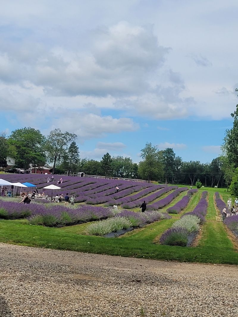 Map your day: hours, tickets, and best times to go