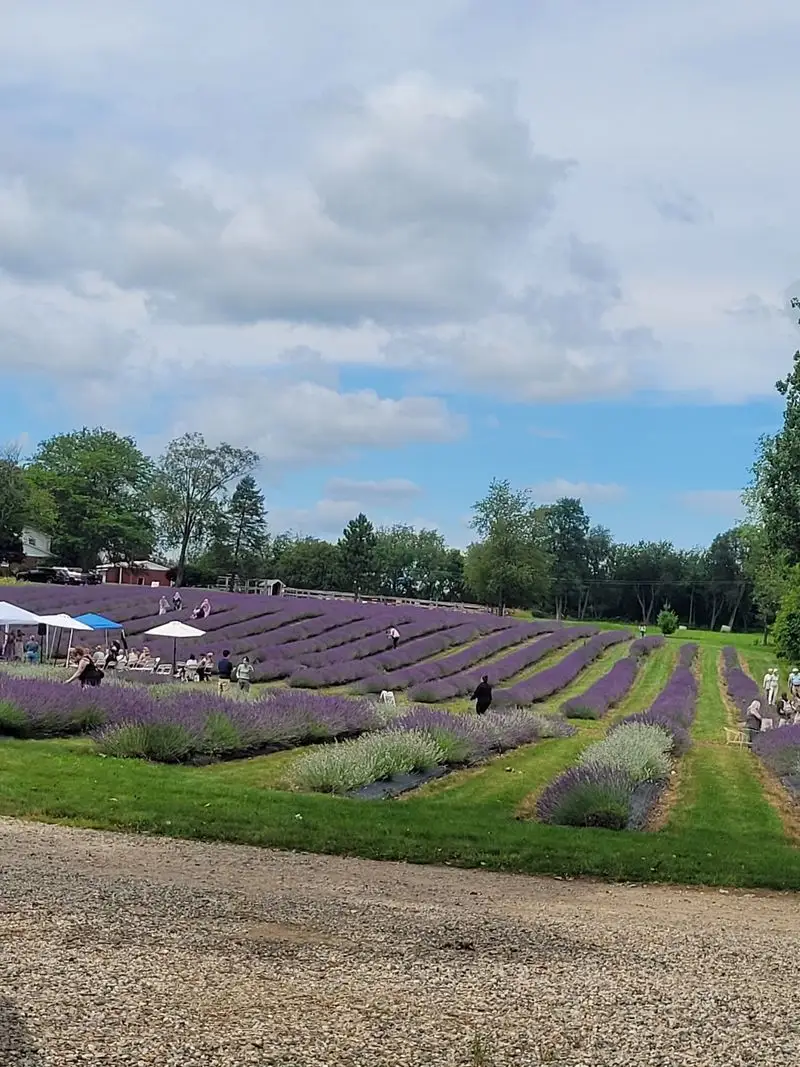 Map your day: hours, tickets, and best times to go