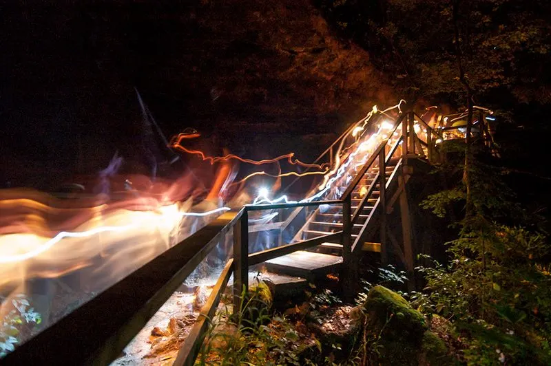 The Glow Of The Dismalites Night Tour