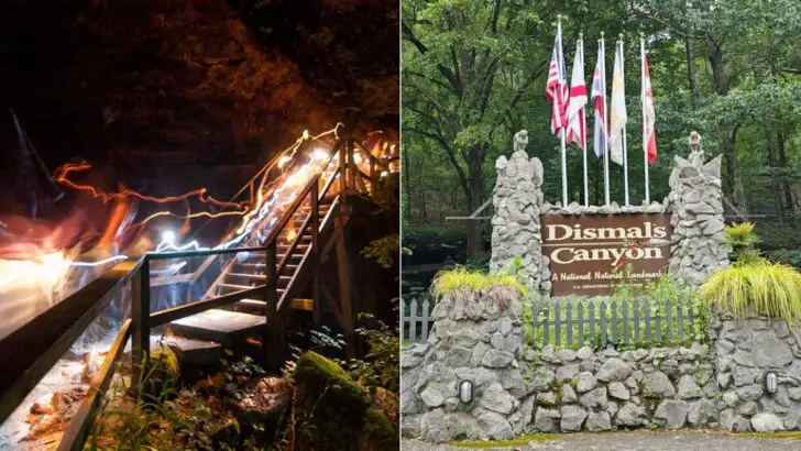 This Alabama Canyon Has Glowing Worms That Light Up The Walls Like A Thousand Stars