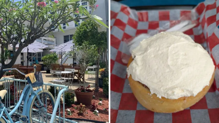 This Bakery Might Serve Some of the Best Cinnamon Rolls in Florida