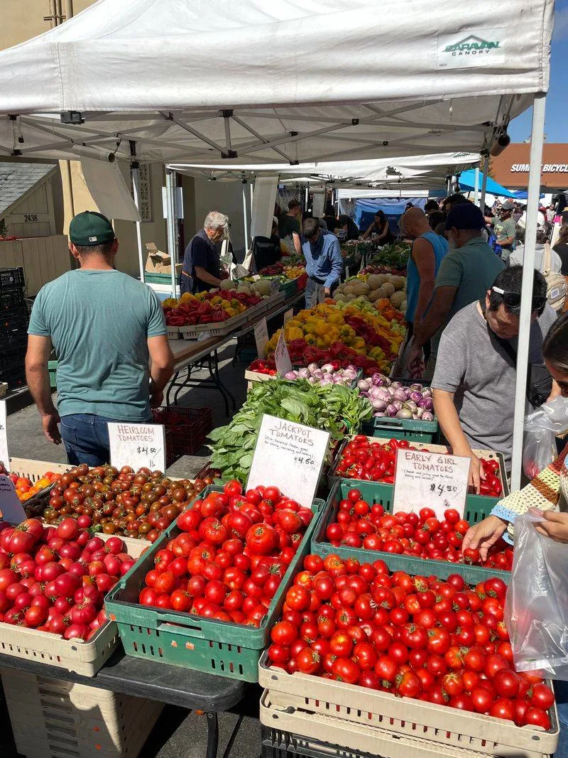 Fresh Organic Produce Row