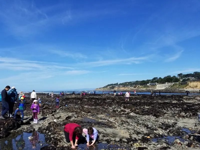 Planning Your Visit and Tides 101