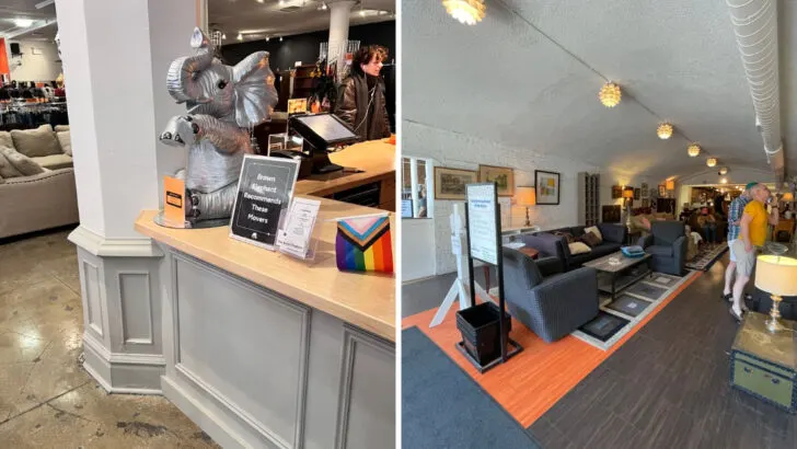 This Chicago thrift shop turned a historic 1920s theater into a shopping experience