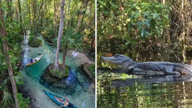 This Florida Kayaking Spot Is Known for Its Unreal Emerald-Colored Water
