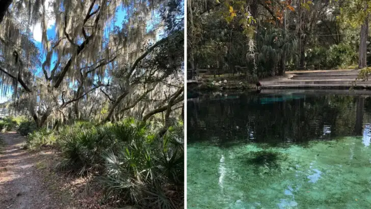 This Florida forest offers miles of trails, hidden springs, and real solitude