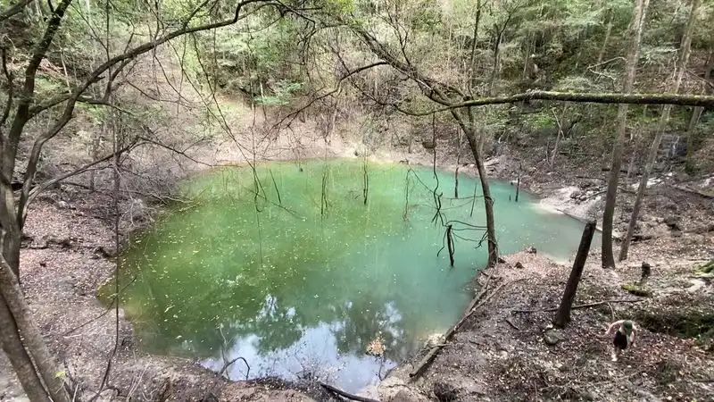 Orientation: What makes the sinkhole special