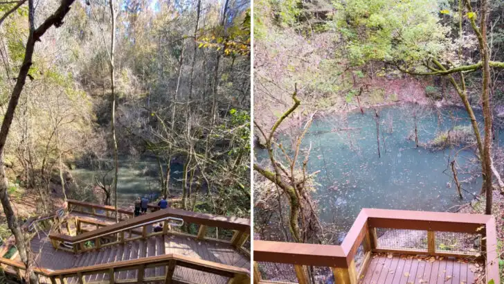 This Florida sinkhole park in Gainesville offers one of the state&rsquo;s most unusual hikes