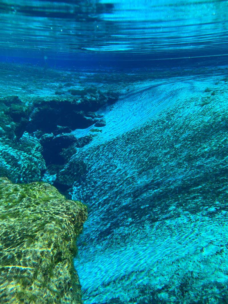 The Crystal Waters