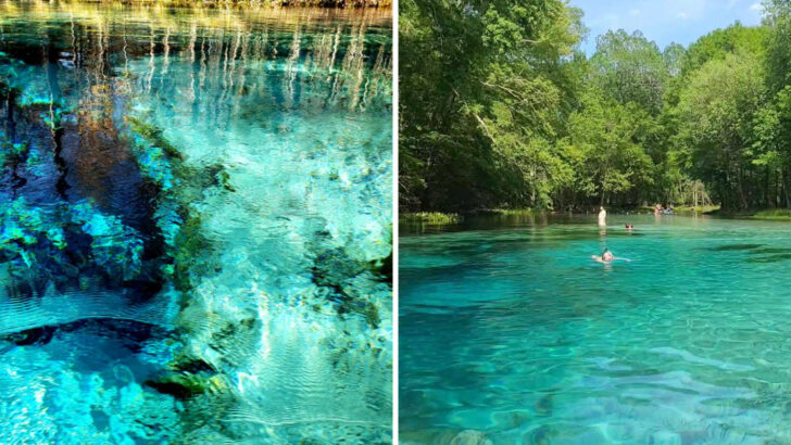 This Florida state park offers spring swimming that feels almost unreal